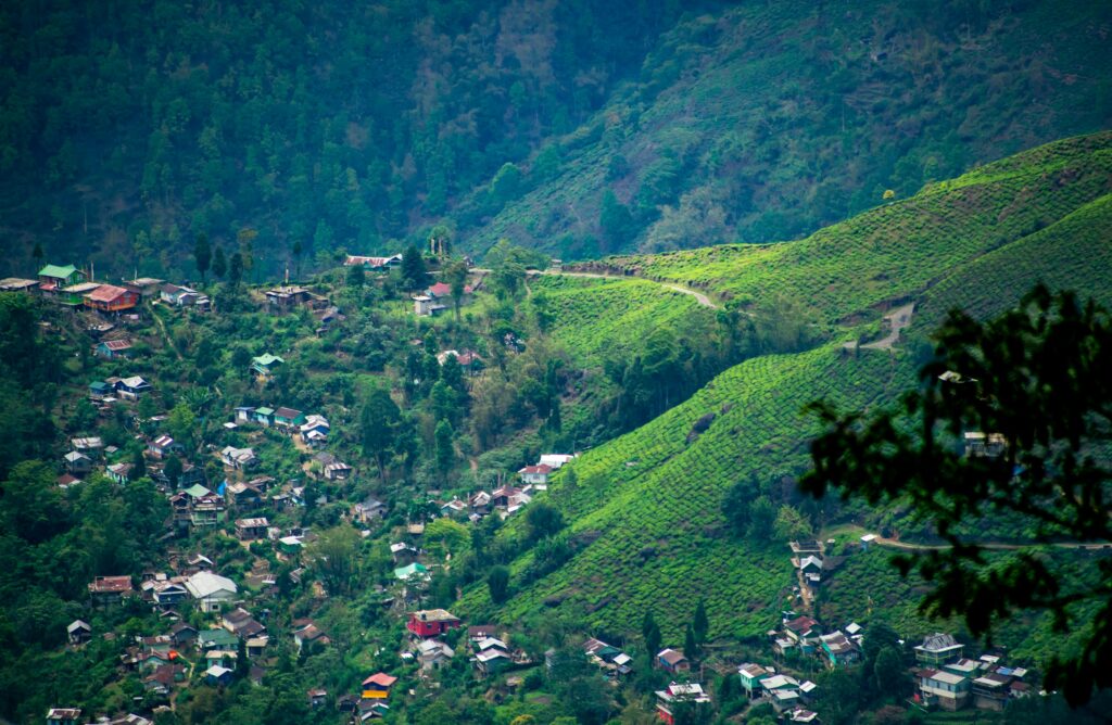 darjeeling2