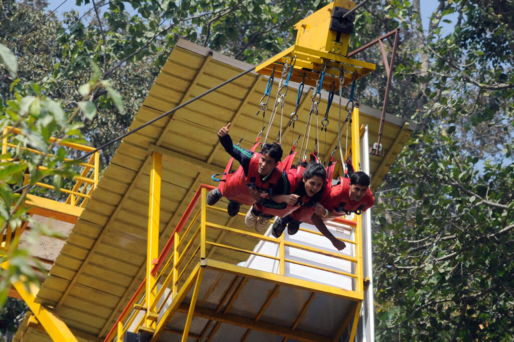 flying-fox